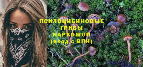 ALPHA PVP Вязники