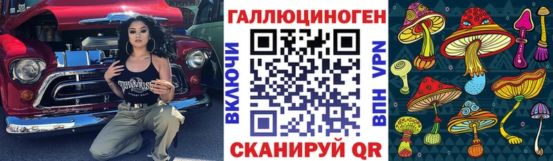 Псилоцибиновые грибы Cubensis  Ессентуки 
